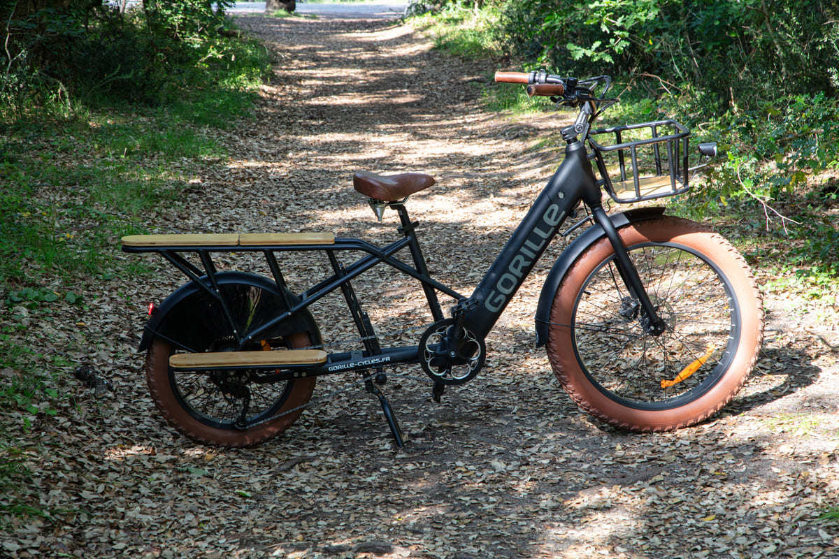 The Cargorilla Bike for Rental