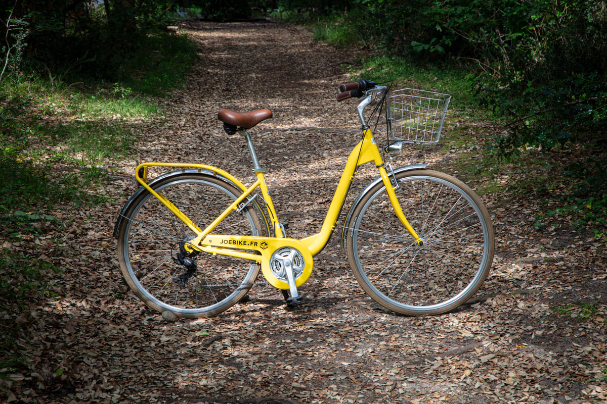 Vtc Yellow Ted Bike