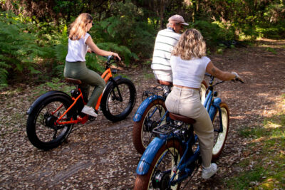E Fat Bike à Louer Pour Balade En Foret