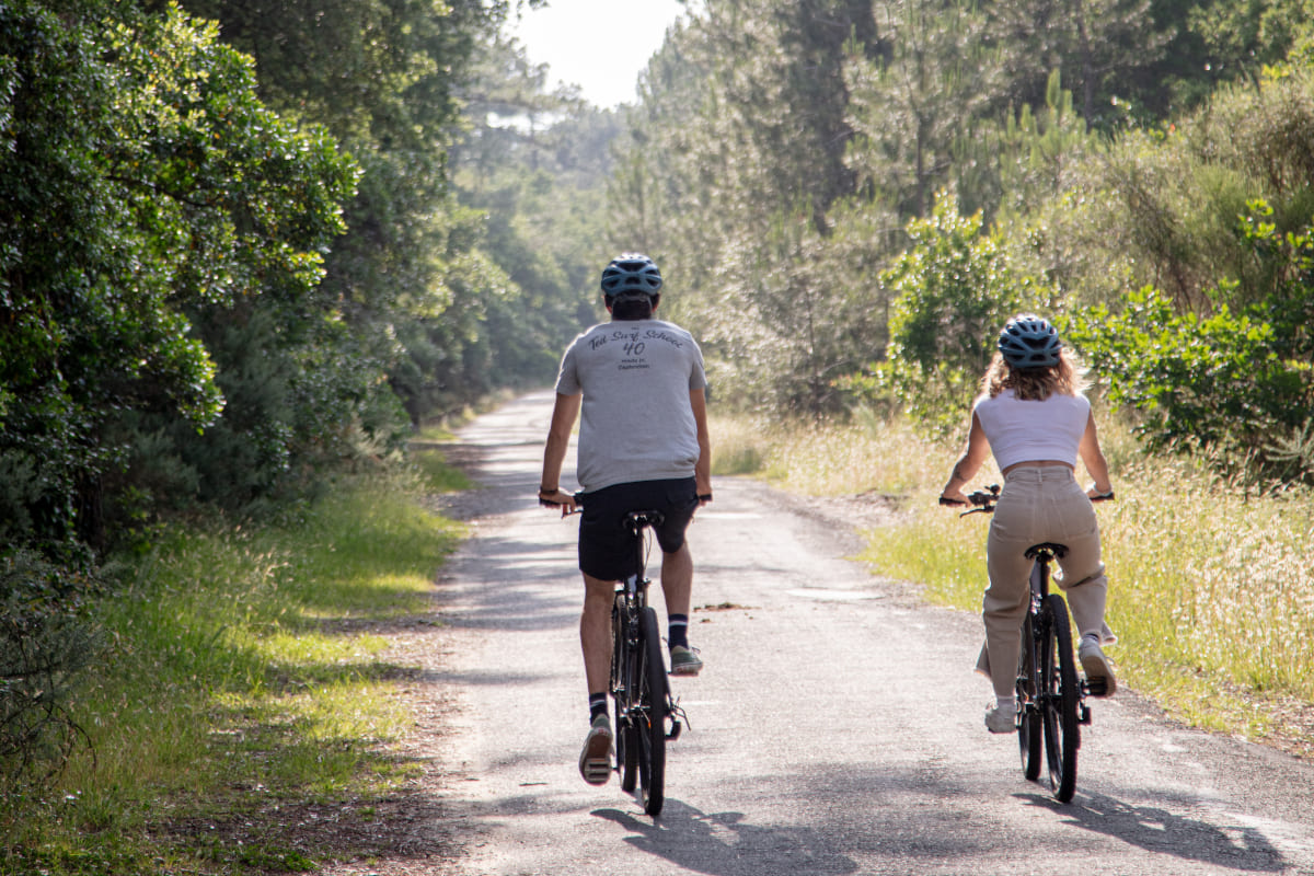MTB Rental Capbretion Walk In The Forest