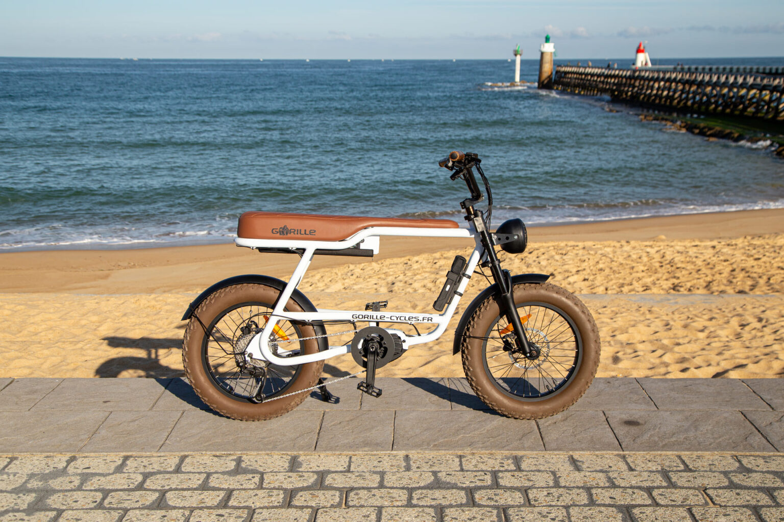 Cadet Bike Rental in Capbreton
