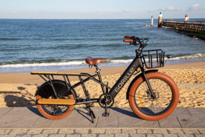 Electric Cargo Bike Rental Ted Bike Capbreton