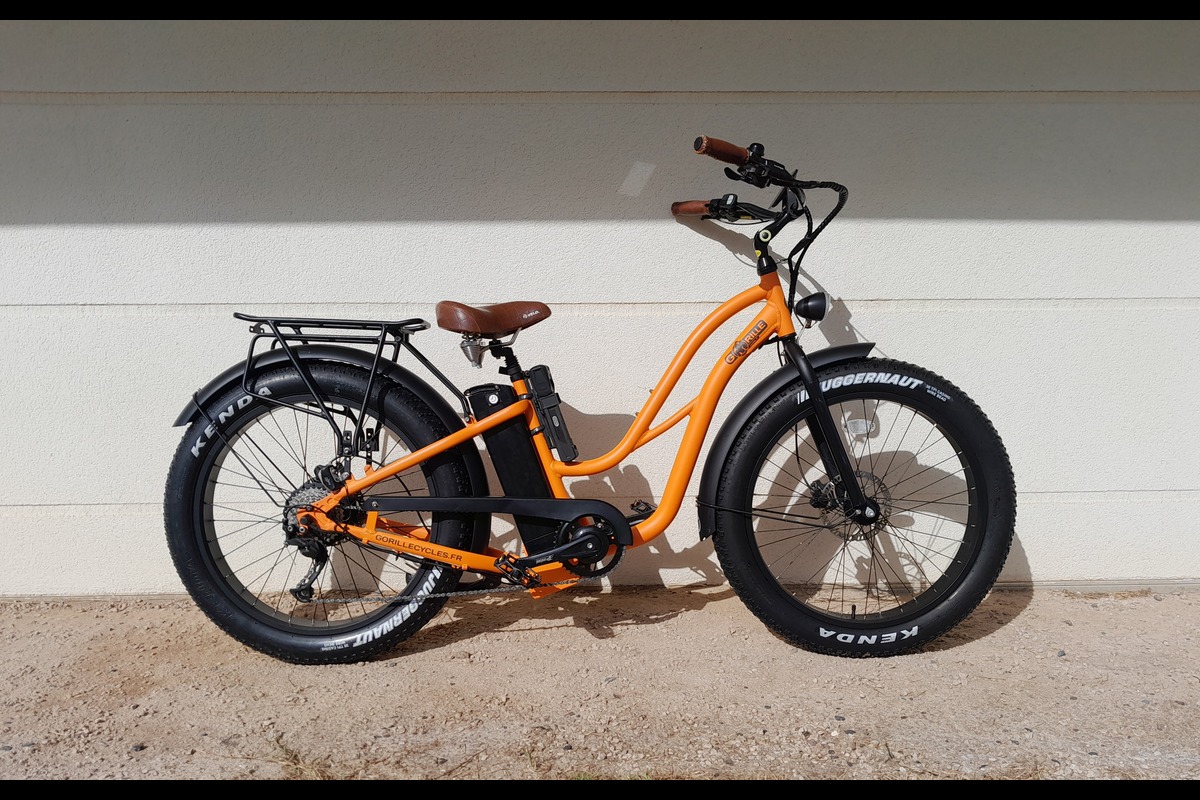 Electric Bike