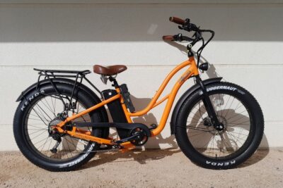 Lady Gorilla electric bike