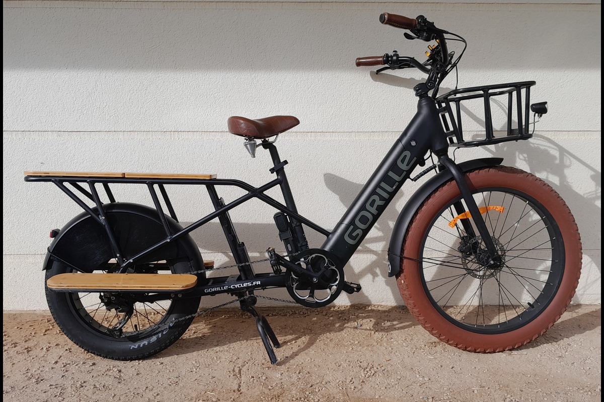 Cargorille bicycle luggage rack child bike ride