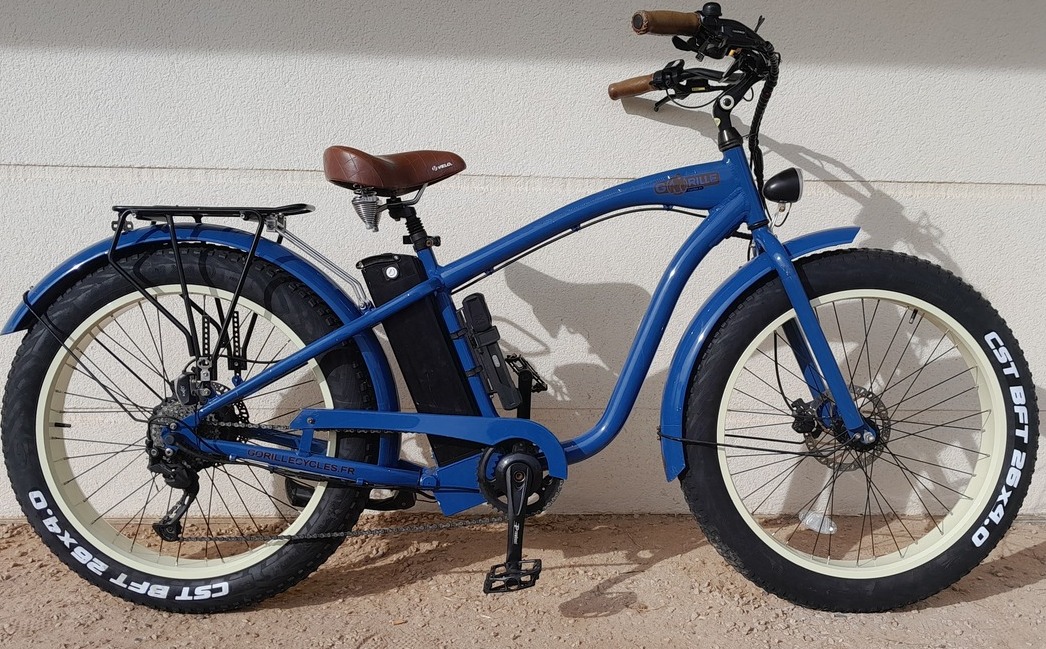 Electric Bike Ride in the Landes Lady Small