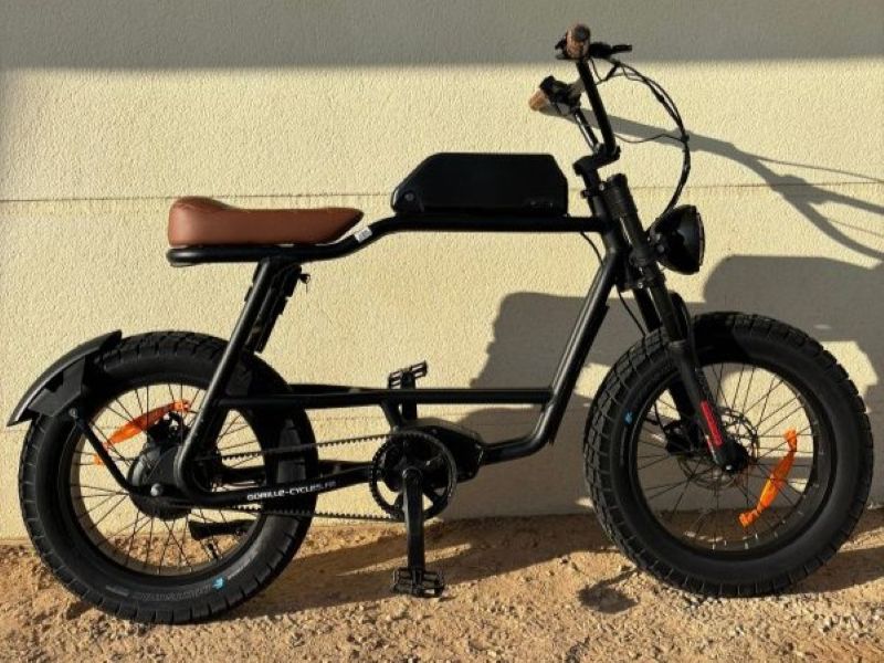 Jm24030017 Kong Okok