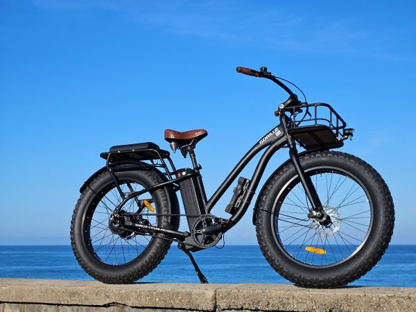 Fatbike Gorille Easy