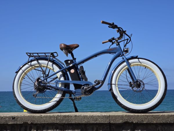 Bicicleta Fat Bike Gorille Male