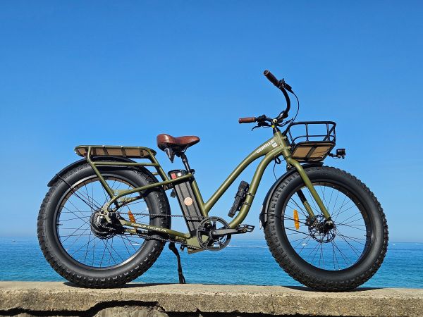 Bicicleta Fatbike Gorille Easy