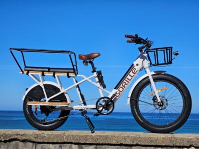 Bicicleta Gorille Cargo Longtail de segunda mano